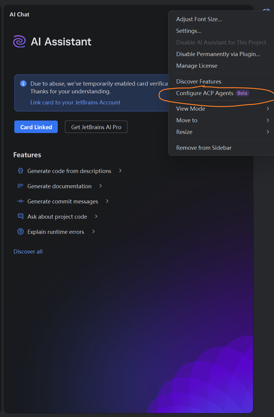 配置 ACP 代理界面
