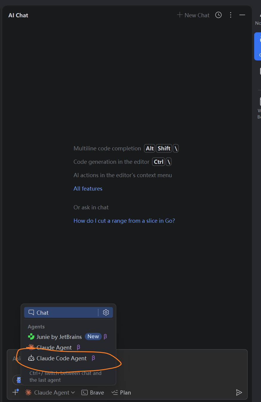 选择 Claude Code Agent